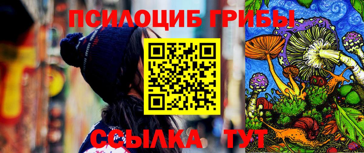 Сибай  Галлюциногенные грибы Psilocybine cubensis  Вход с VPN 